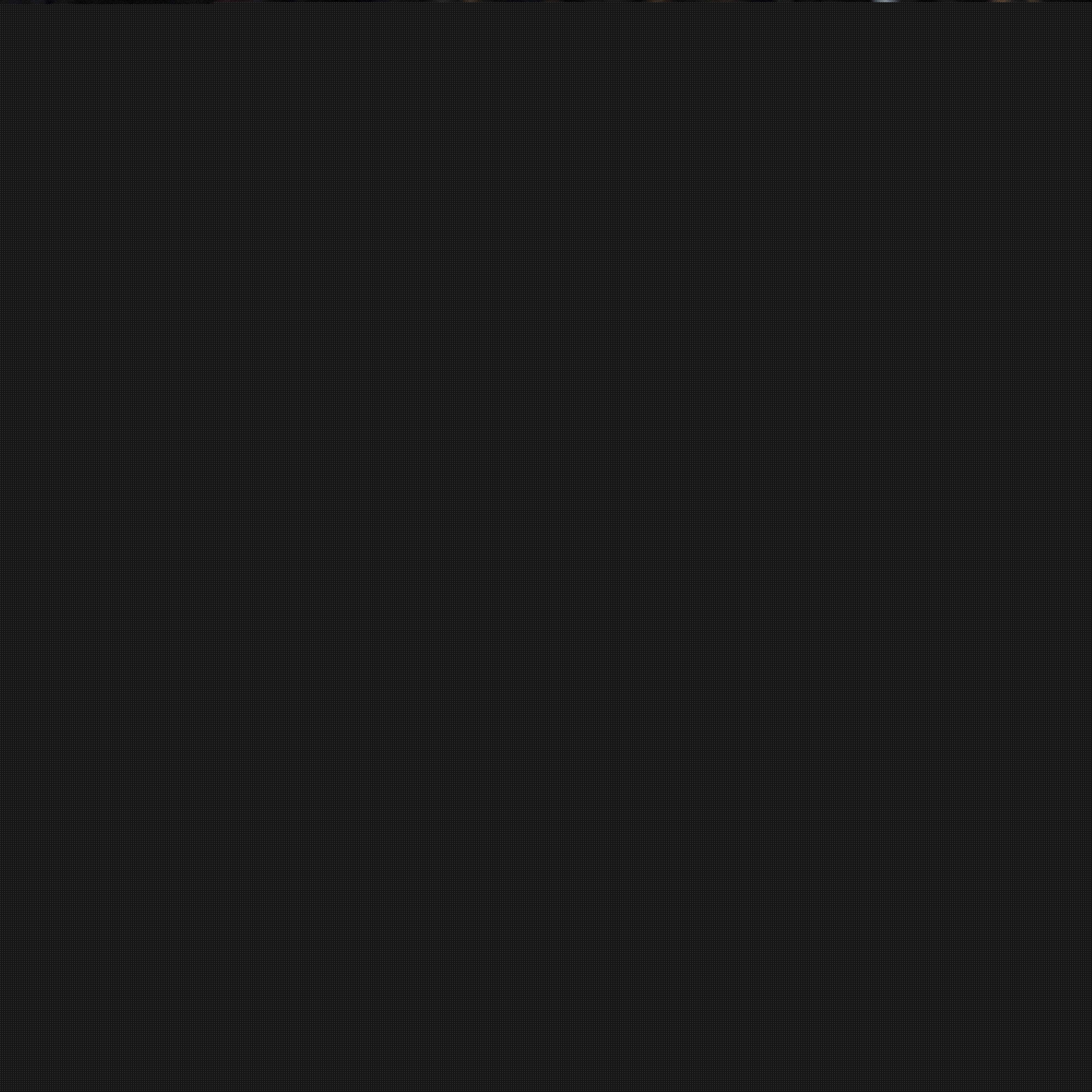 了解罗德里