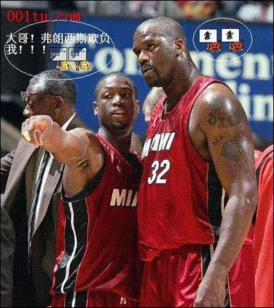 导为中国提