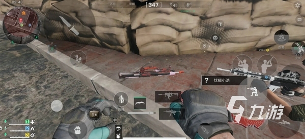 球迷文化的 球迷文化的